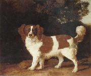 George Stubbs Dog oil painting on canvas